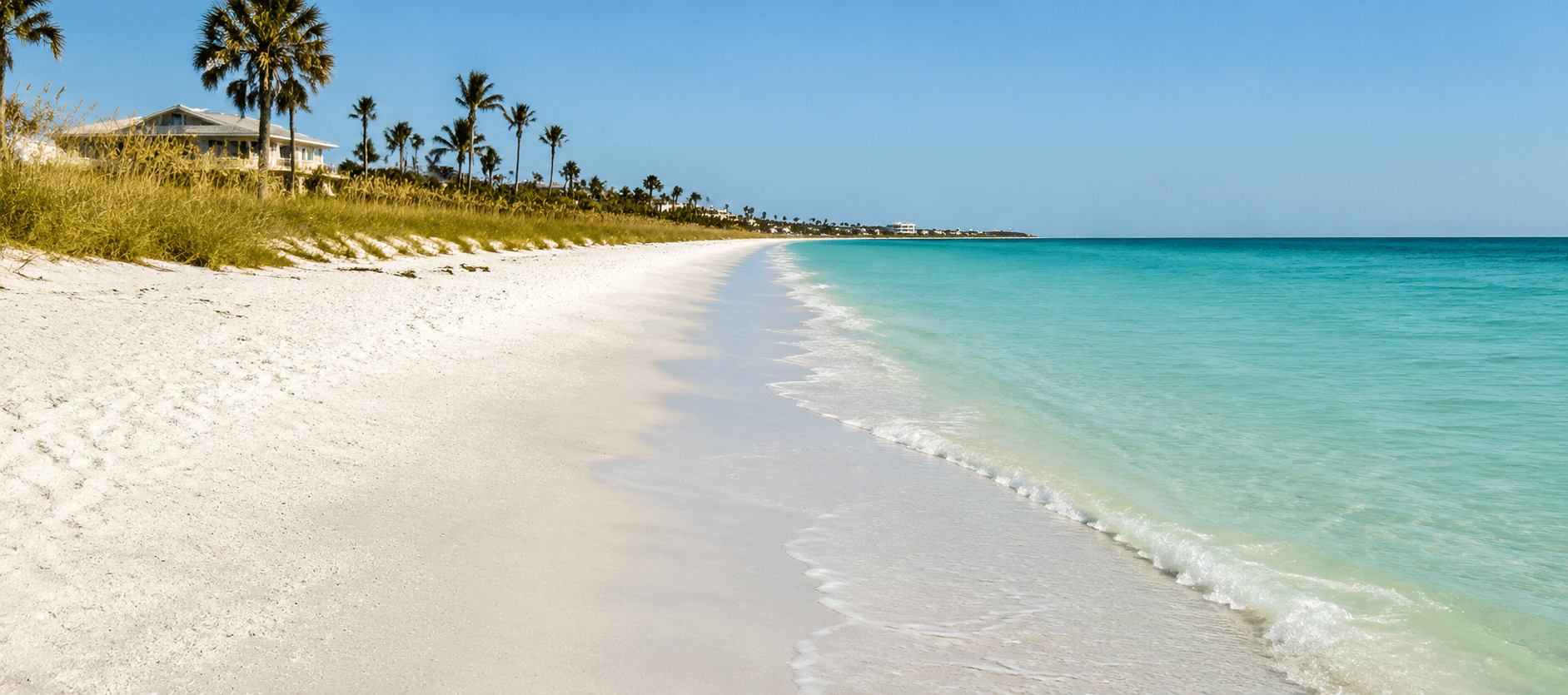 Palms and open sand on the beach at Redington Beach